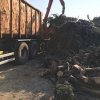 Unmengen Holz: Unser Team beim Abtransport der Reste
